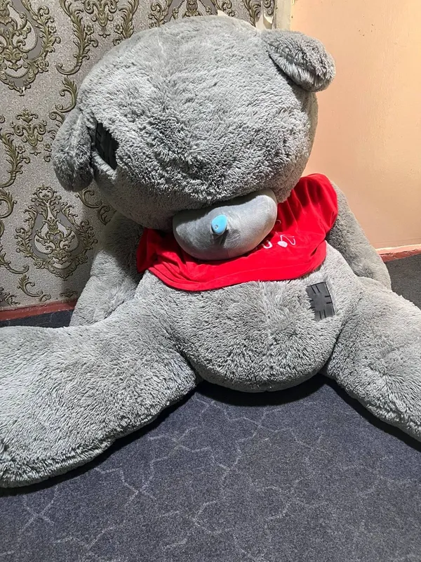 Teddiy yangi tez soʻriladi pul zarur 3 Teddiy yangi tez soʻriladi pul zarur 3
