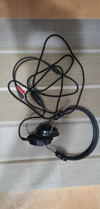 Kompyuter uchun quloqchinlar 2