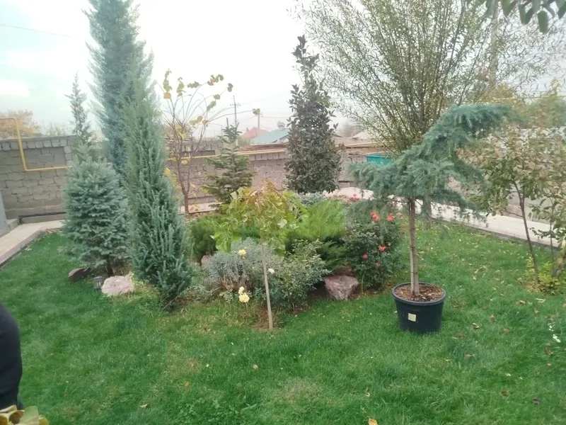 gazon Xizmatlari boshqa xizmatlarimiza bor 3 gazon Xizmatlari boshqa xizmatlarimiza bor 3