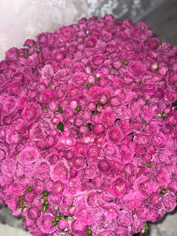 Большие цветы 💐🩷 — фото 1