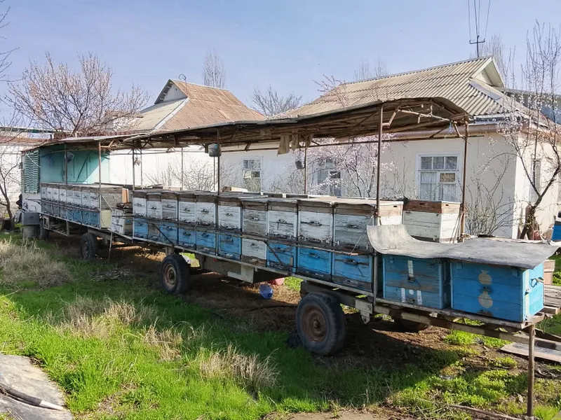 Пасека. Пчеловодный прицепы