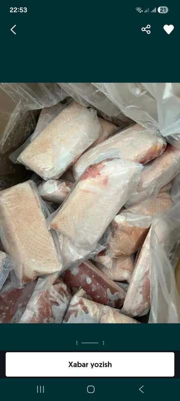 Urdak grudinkasi terili terisz narxlari kelishtirib beriladi