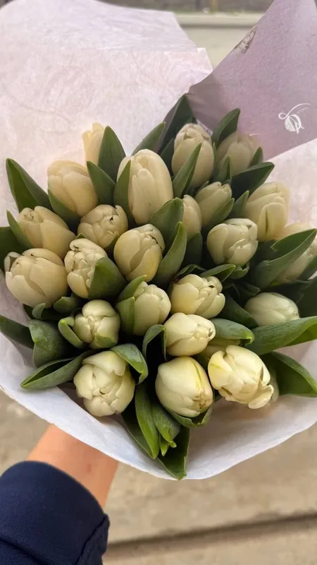 Тюльпаны (Голландская) на 8 марта оптом есть перечисленные — фото 3