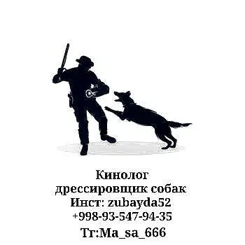 Кинолог дрессировщик собак