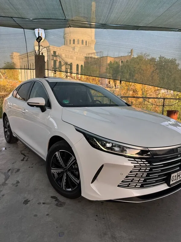 Byd Chazor gibrid 2 Byd Chazor gibrid 2