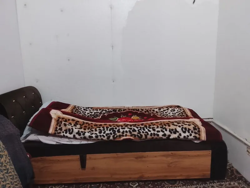 Spolni bir kishilik