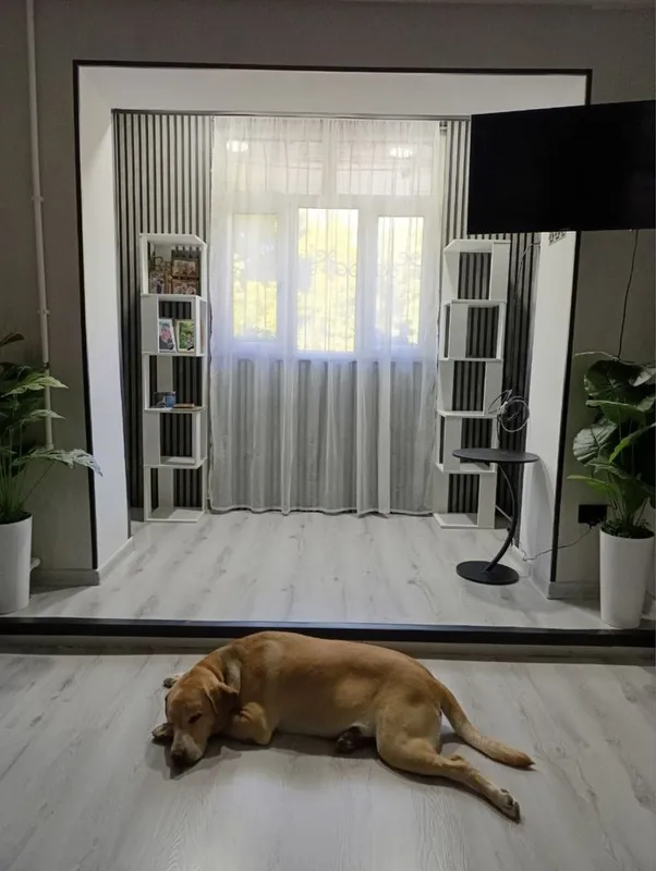 Косметический и капитальный ремонт