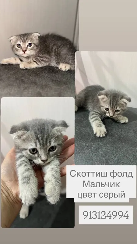 Продаётся 3