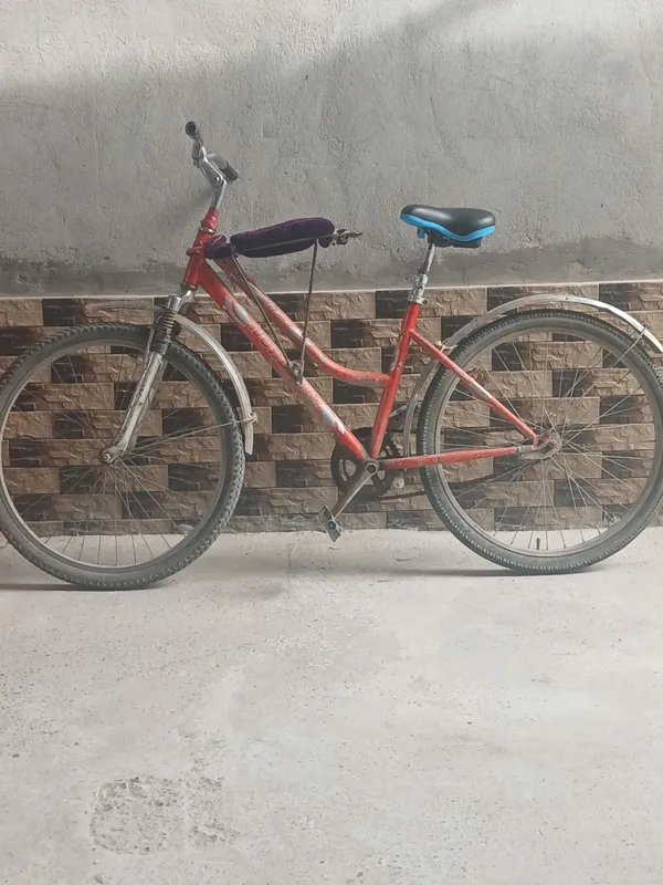veloseped — фото 1