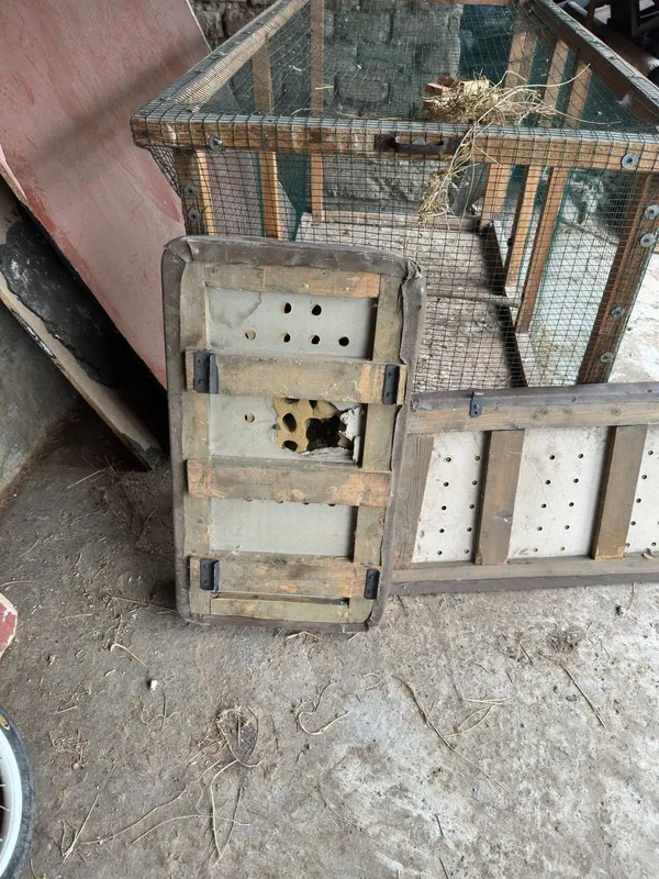 Zil sideniya pasajir taraf sotiladi 6 Zil sideniya pasajir taraf sotiladi 6