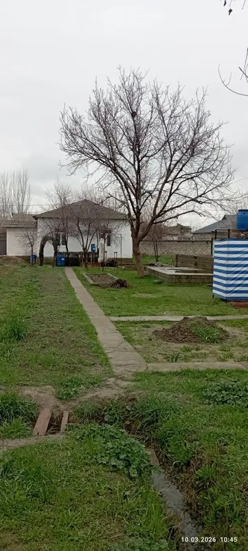 Срочно! 6 сутих 3 хонали уй участка нархида, Янги Тошкент чегарасида — фото 4