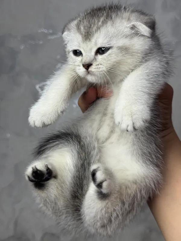 Мальчик девушка — фото 5