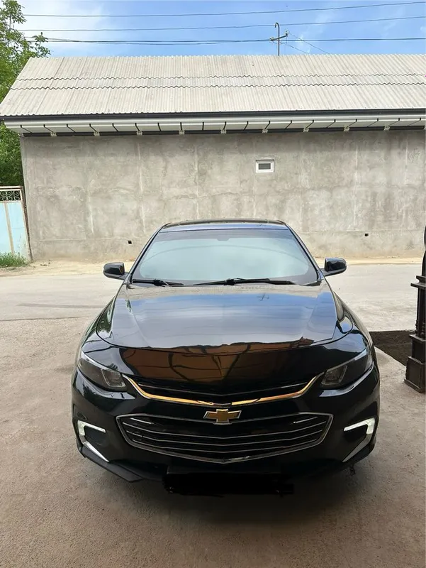 Malibu detalari bor