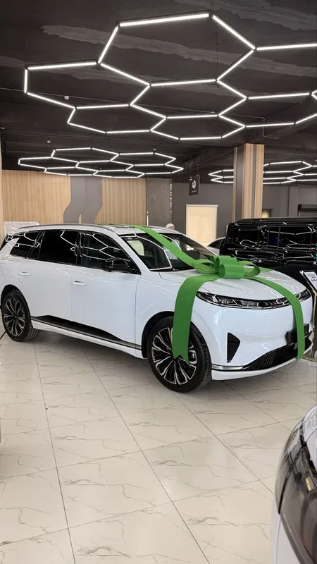 Dongfeng 008 ep hybrid full 1 Dongfeng 008 ep hybrid full 1