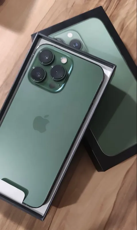 13 pro max
