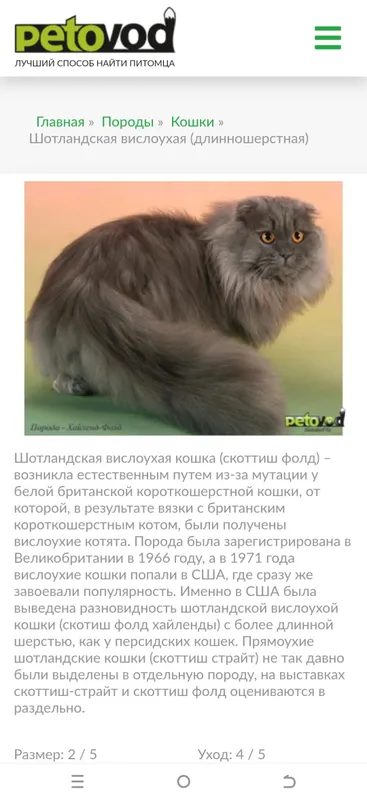 бесплатно отдам кошку и котят в добрые руки — фото 1