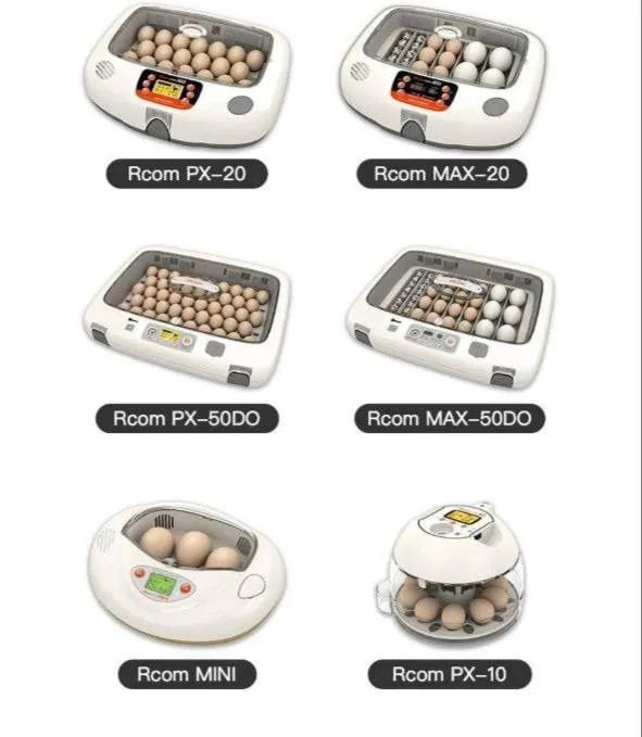Incubator original 2