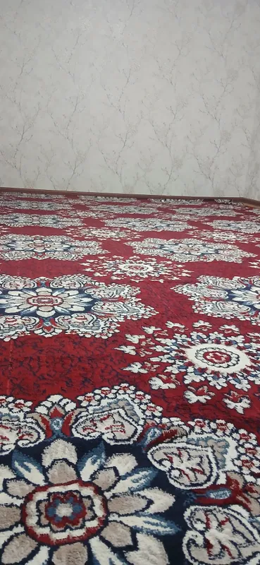 Qolin Gilam 3 Qolin Gilam 3