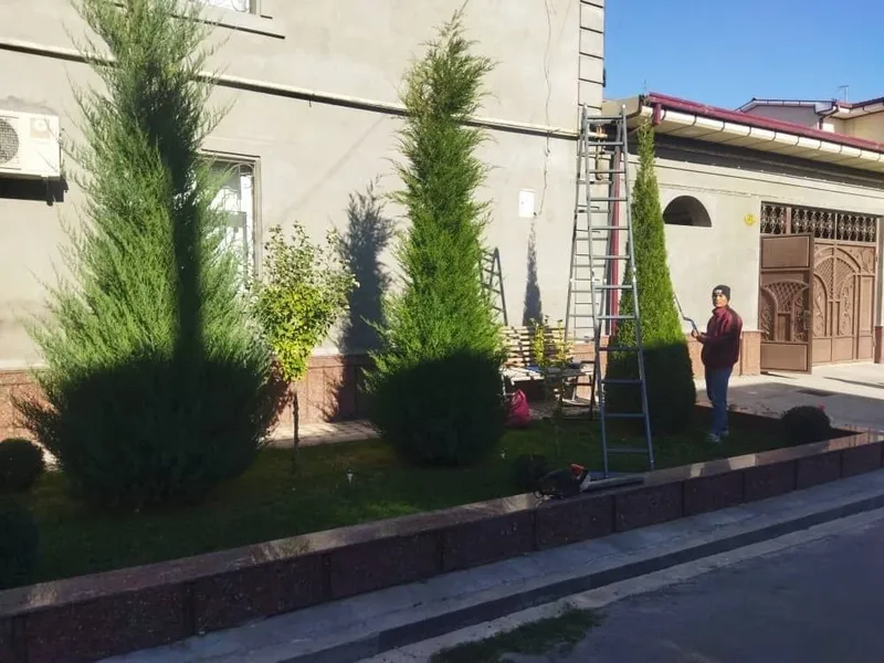 Archa kesish va gazon ikkish 4