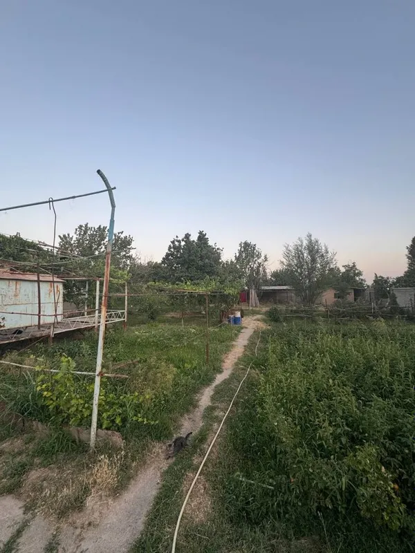 Продается дом 20 соток — фото 2