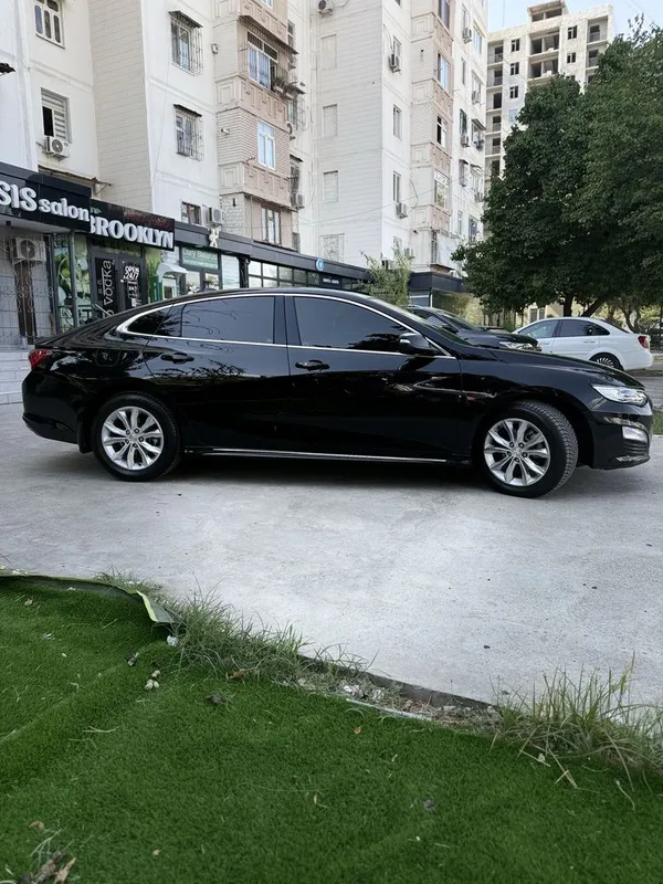 Malibu 2 Primer 2020 3 Malibu 2 Primer 2020 3