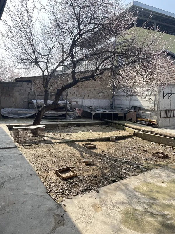 Xovli sotiladi srochniy narx kelishiladi — фото 2