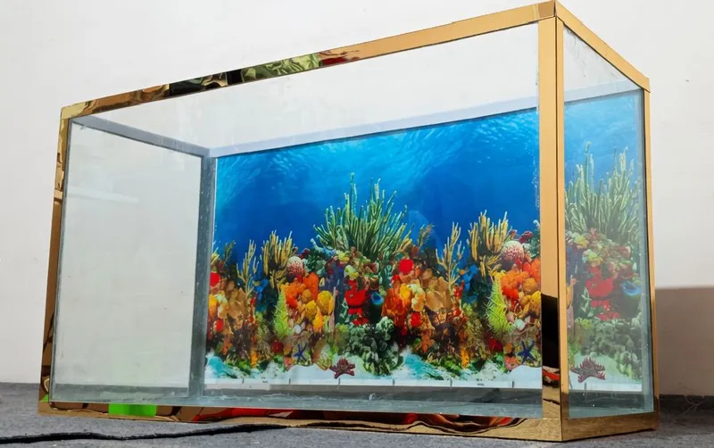 akvarium yangi 1