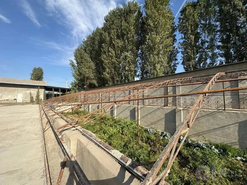 Ferma sotiladi 4