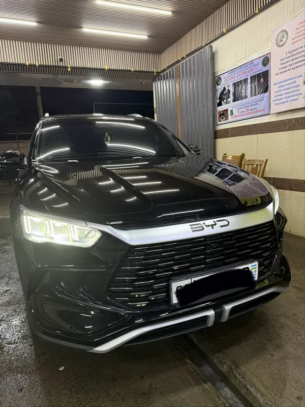 Byd song pro 71 DM-I 2024/2025