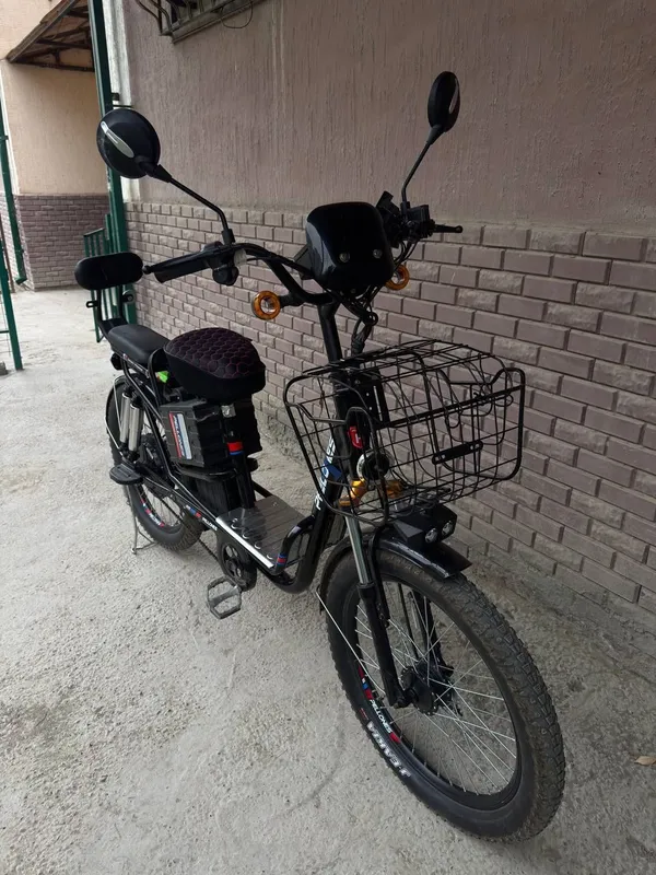 Elekrto skuter, velosiped Elekrto skuter, velosiped