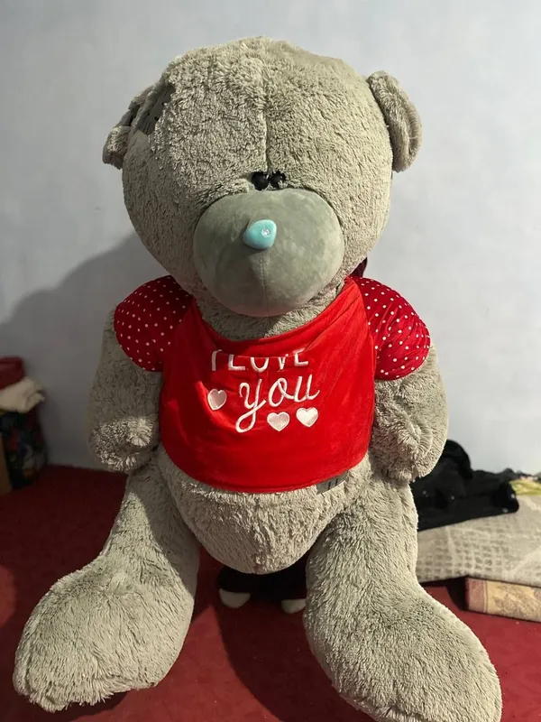 Teddy ayiq [eng kottasi]