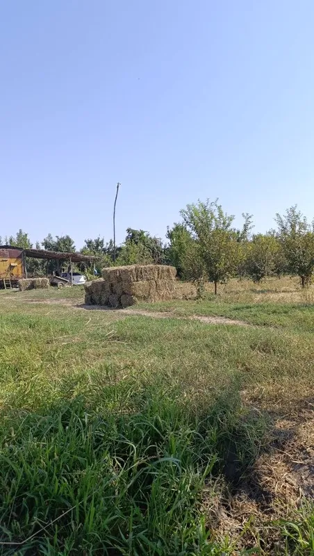 Ут пресс сотилади 1 Ут пресс сотилади 1