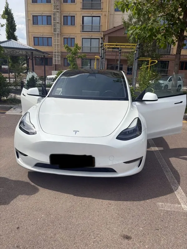 Tesla model y
