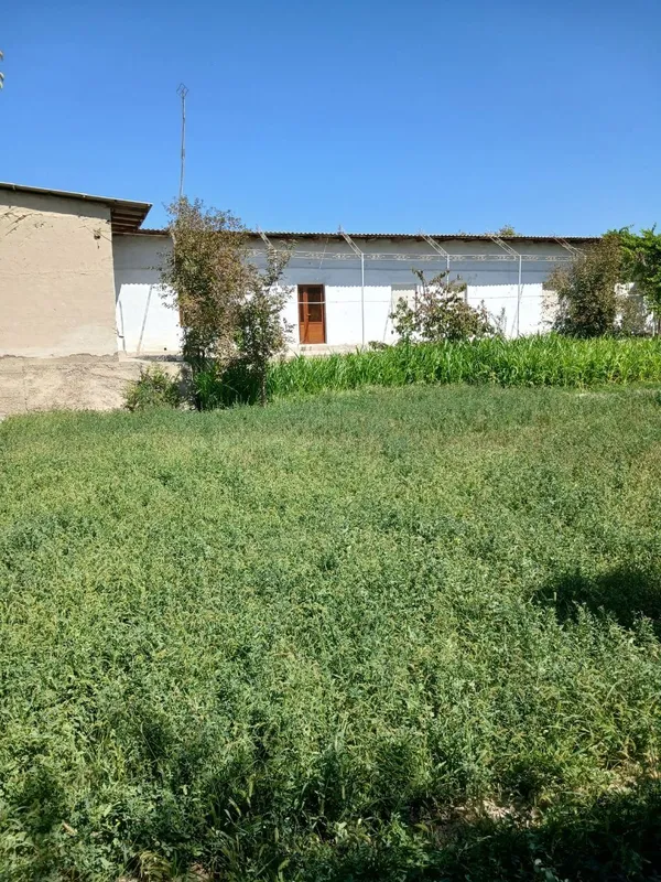 hovli sotiladi 5 hovli sotiladi 5