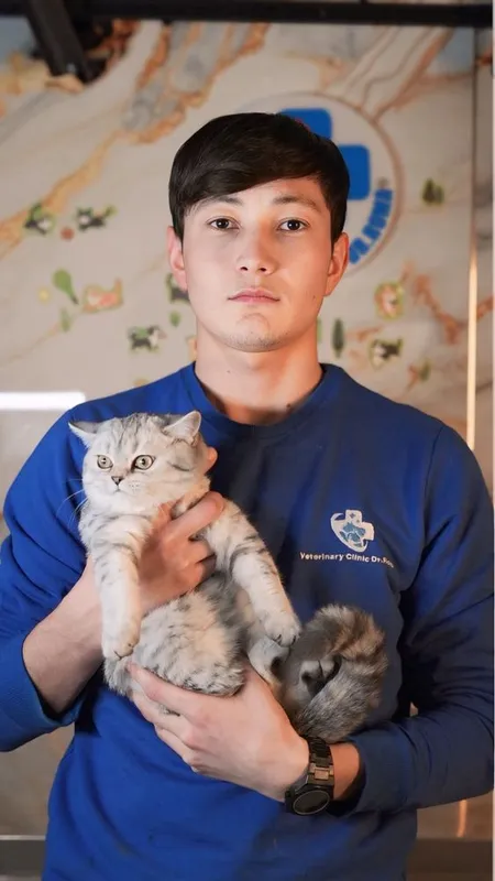 Veterinariya xizmati – It va mushuklar uchun tezkor yordam! 1
