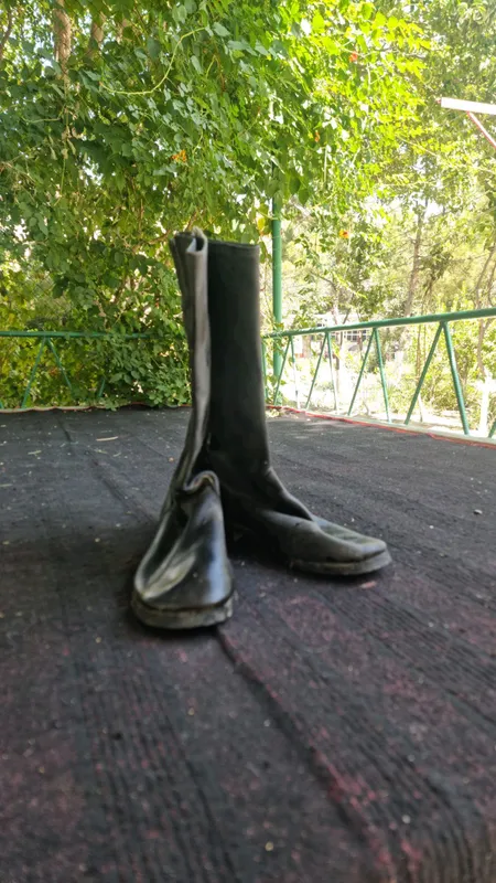 сотила сапог янги