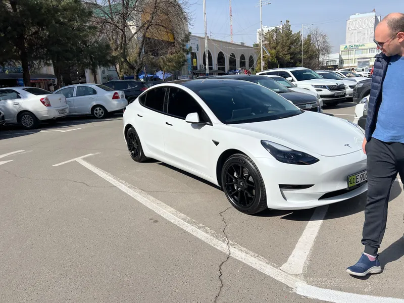 Model 3 standard plus