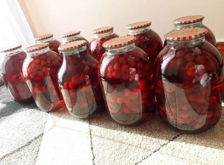Принимаем заказ на закрытие банки. Город Каган 1 Принимаем заказ на закрытие банки. Город Каган 1