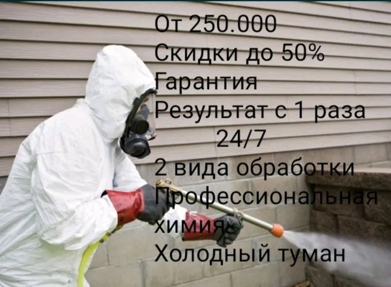 Дезинфекция клопов тараканов крыс мышей скорпионов — фото 4