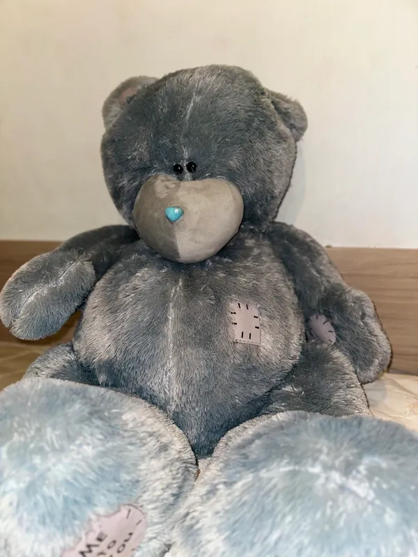 Teddy ayiq