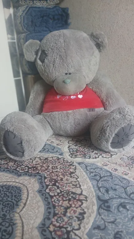 teddi yumashoq ayiq