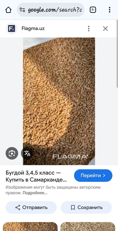 Бугдой галла бор — фото 1