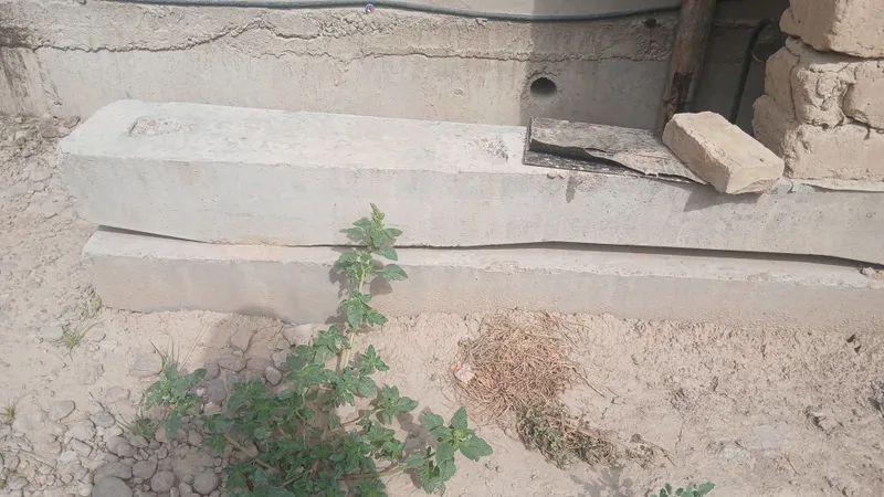 Shapl sotiladi holati yaxshi