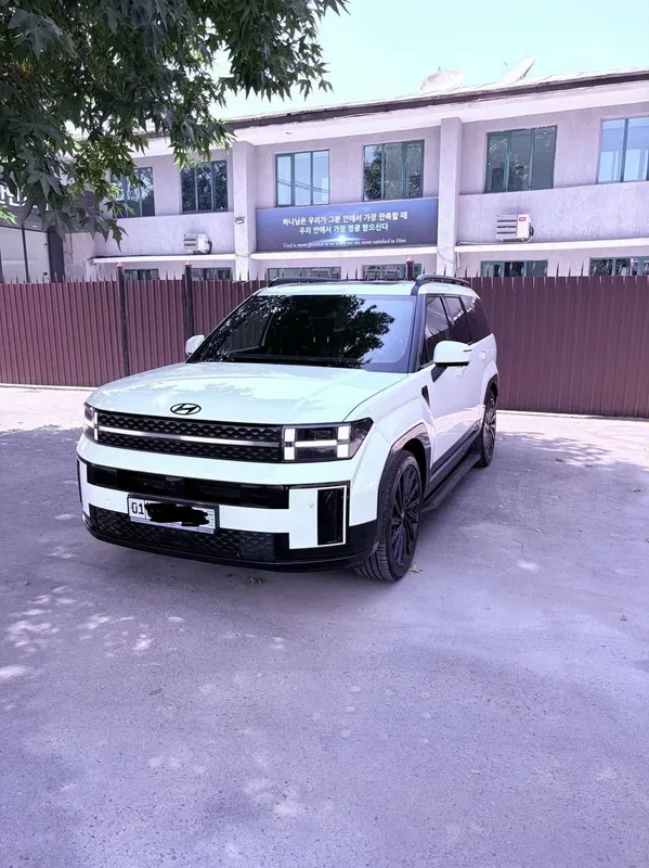 Hyundai Santa fe 1