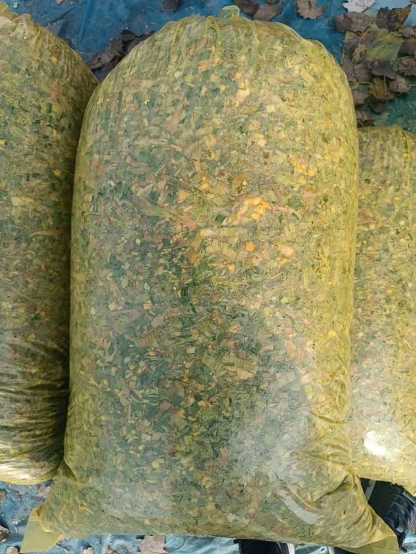 Cheklanmagan Miqdorda Silyos yetkazib beramiz