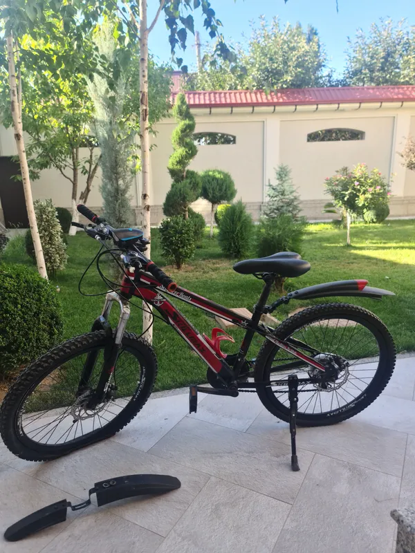VELIK 24 RAZMER 1