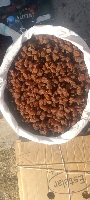 Narhi kelishiladi har xilidan bor. — фото 1