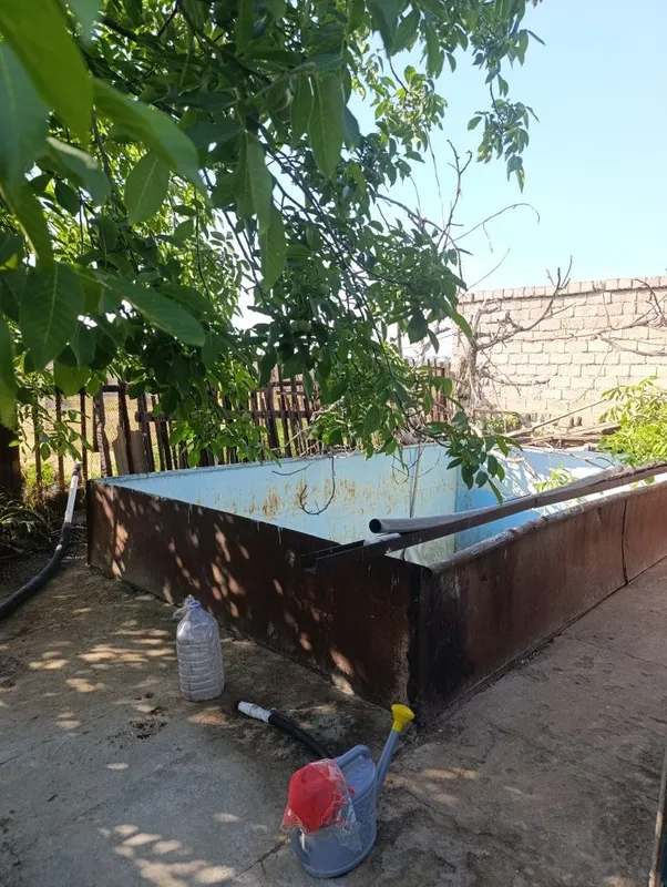 Дача янги Узбекистон — фото 7