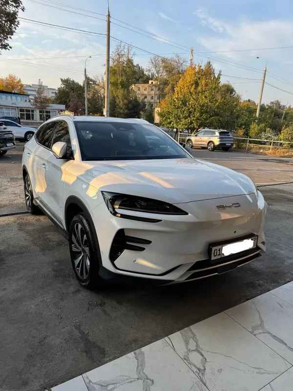 BYD chempion 605