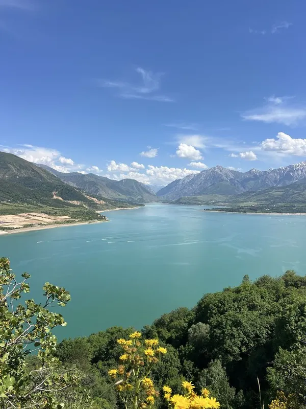 sotiladi bogistonda sivet bor sentirda